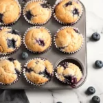 Blueberry Protein Muffins
